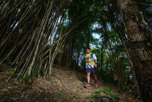 BIB: 
                            <button type="button" onclick="openModal(19396176)" class="btn btn-primary btn-sm float-right btn-popup" data-toggle="modal" data-target=".modal-high-quality">
                        <i class="fas fa-shopping-cart"></i> Add to Cart
                    </button>
                                            <button type="button" onclick="isThisMe(19396176, true)" class="btn btn-success btn-sm float-right btn-popup btn-isme hidden" data-toggle="tooltip" data-placement="bottom" title="นี่คือรูปของคุณใช่ไหม คลิกที่นี่เพื่อเอาเข้าอัลบั้ม">
                        <i class="fas fa-plus"></i> Add to album
                    </button>
                    <button type="button" onclick="isThisMe(19396176, false)" class="btn btn-warning btn-sm float-right btn-popup btn-isnotme hidden">
                        <i class="fas fa-ban"></i> Remove from album
                    </button>